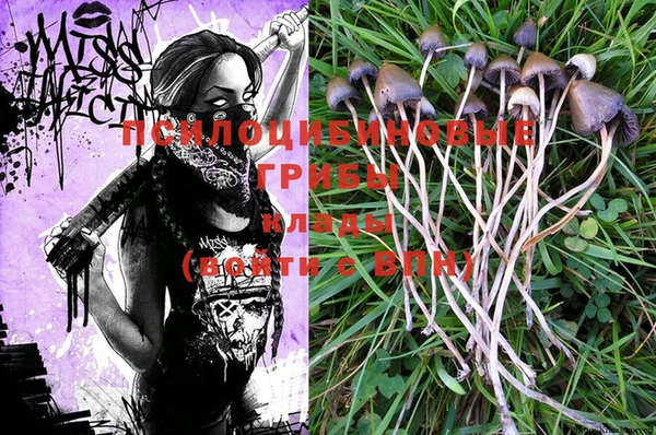 PSILOCYBIN Куйбышев