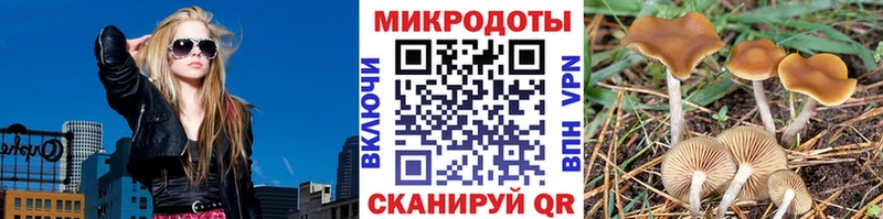 Псилоцибиновые грибы Psilocybe Симферополь