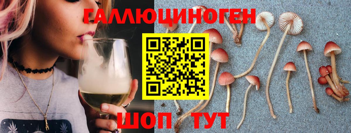 Псилоцибиновые грибы Psilocybine cubensis Симферополь