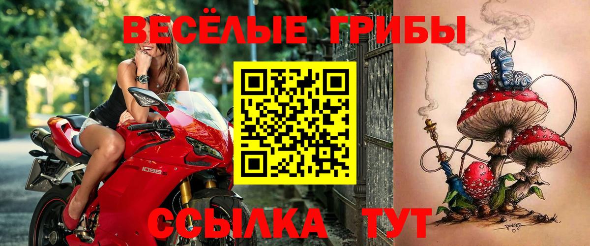 Псилоцибиновые грибы GOLDEN TEACHER  Симферополь  Псилоцибиновые грибы мухоморы 