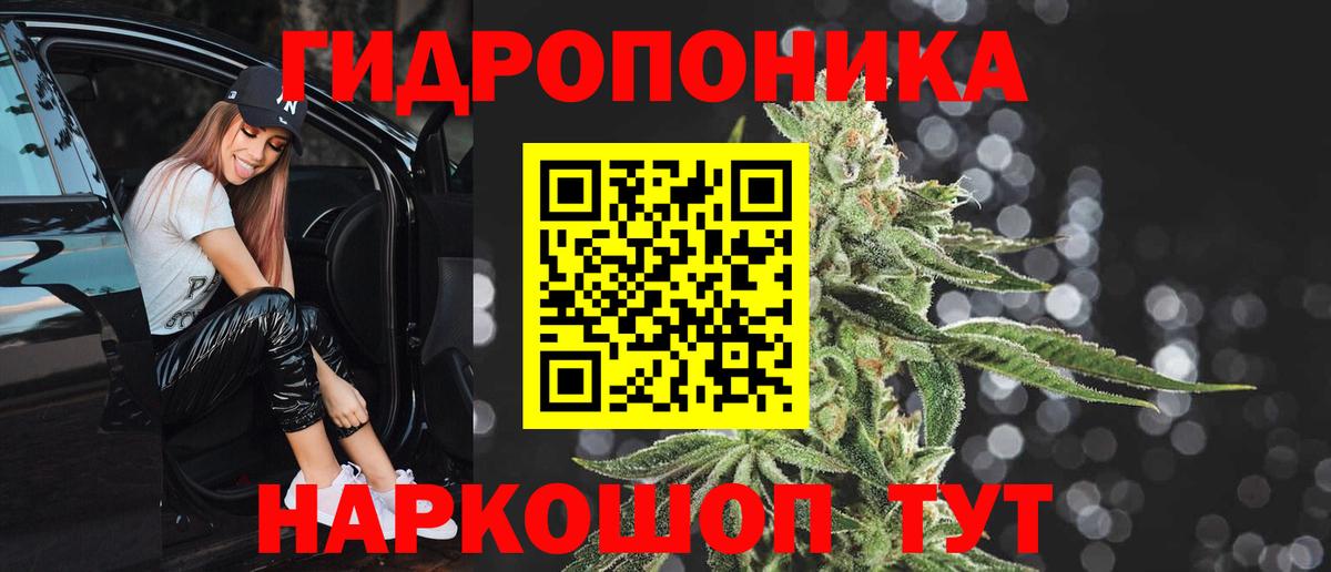 Канабис VHQ  Бошки Шишки план  Шишки марихуана THC 21%  Симферополь 
